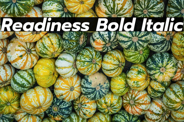 Readiness Bold Italic Example 2