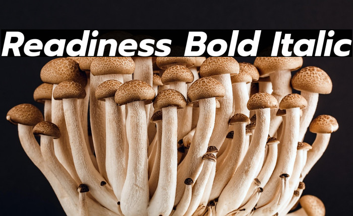 Readiness Bold Italic Example 3