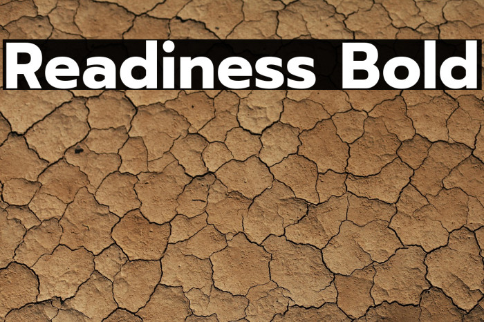 Readiness Bold Example 1