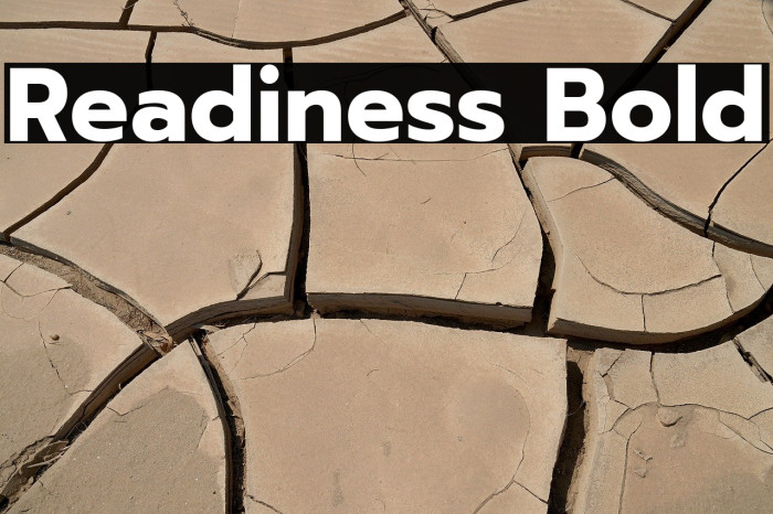 Readiness Bold Example 3