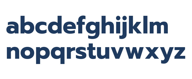 Readiness Bold Lowercase