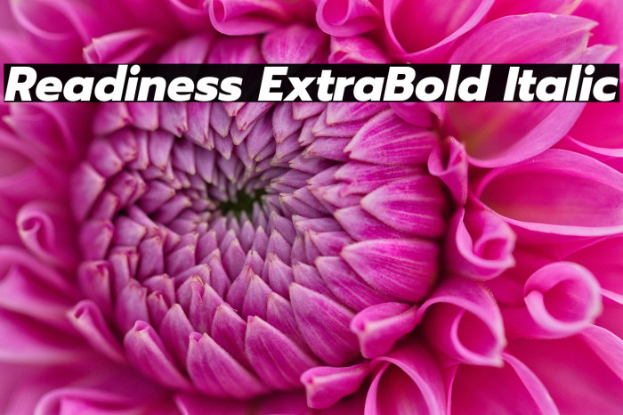 Readiness ExtraBold Italic Example 2
