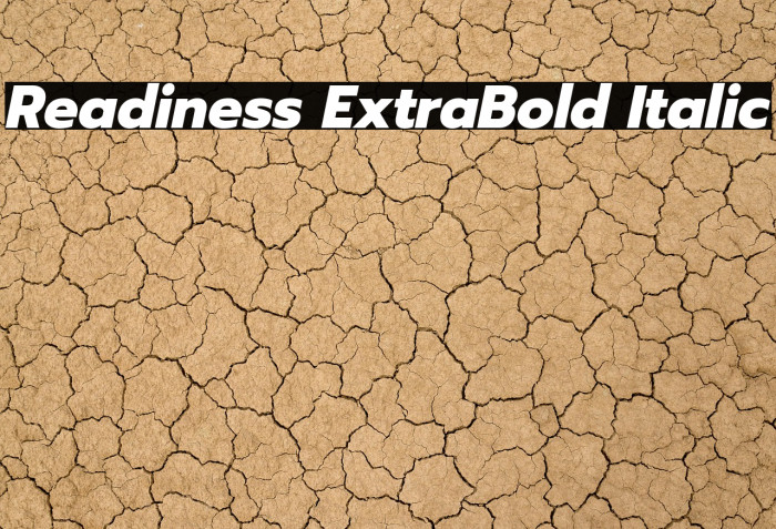 Readiness ExtraBold Italic Example 3