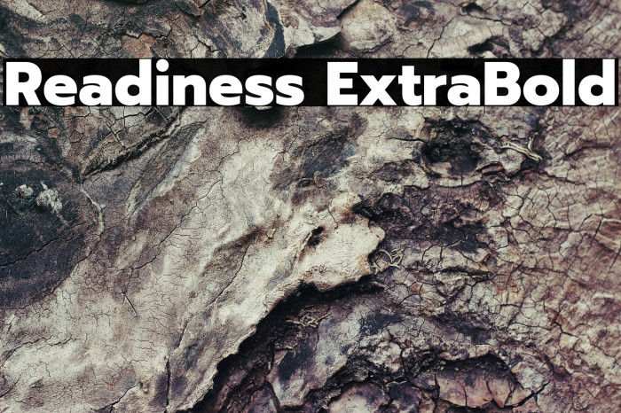 Readiness ExtraBold Example 1