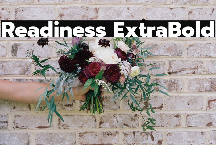 Readiness ExtraBold Example 2