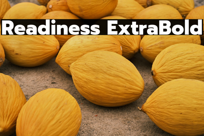 Readiness ExtraBold Example 3