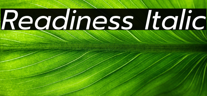 Readiness Italic Example 1