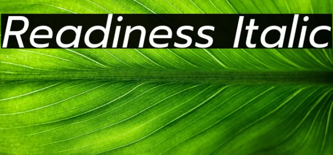 Readiness Italic Example 1
