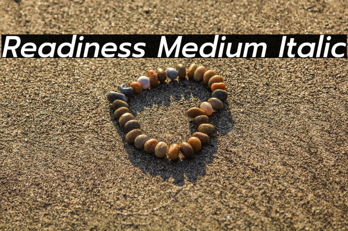 Readiness Medium Italic Example 2