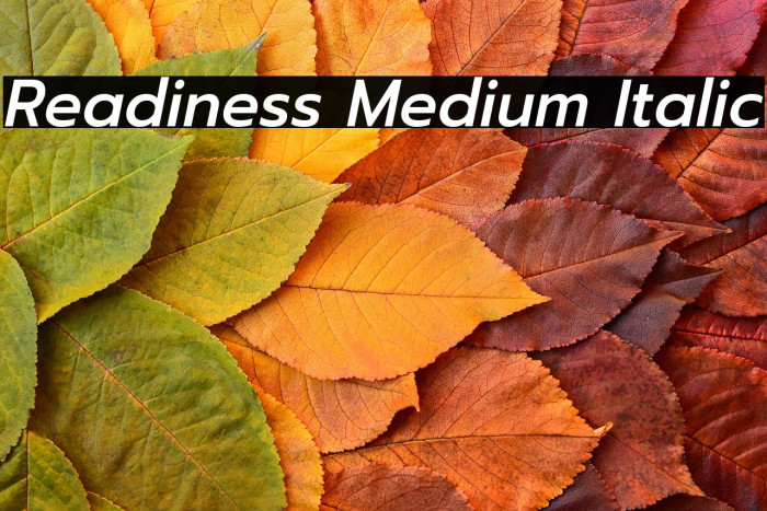 Readiness Medium Italic Example 3