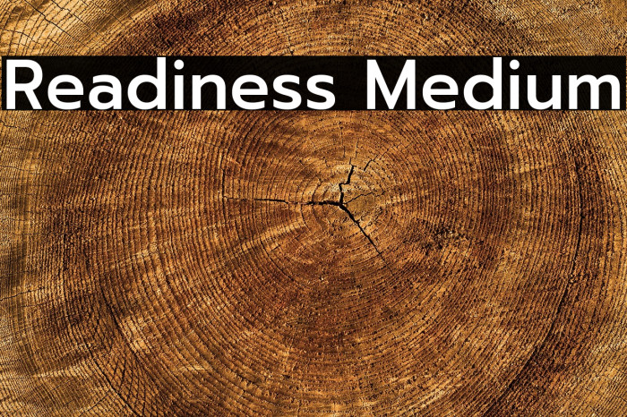 Readiness Medium Example 1