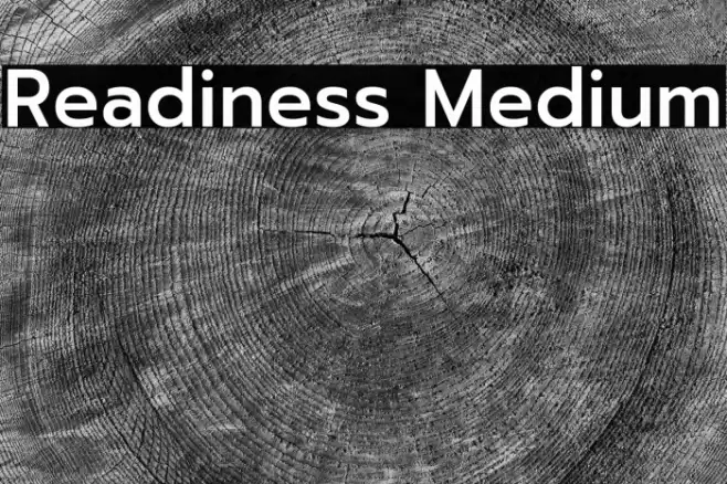 Readiness Medium Font examples