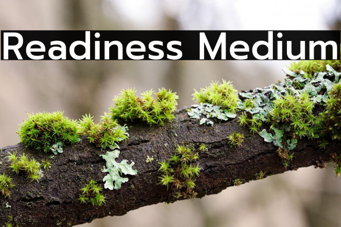 Readiness Medium Example 2