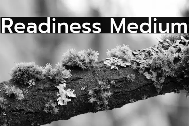 Readiness Medium Font examples