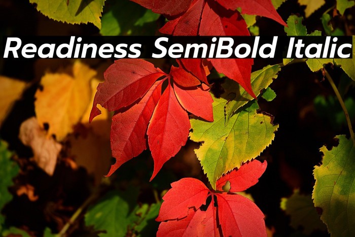 Readiness SemiBold Italic Example 1