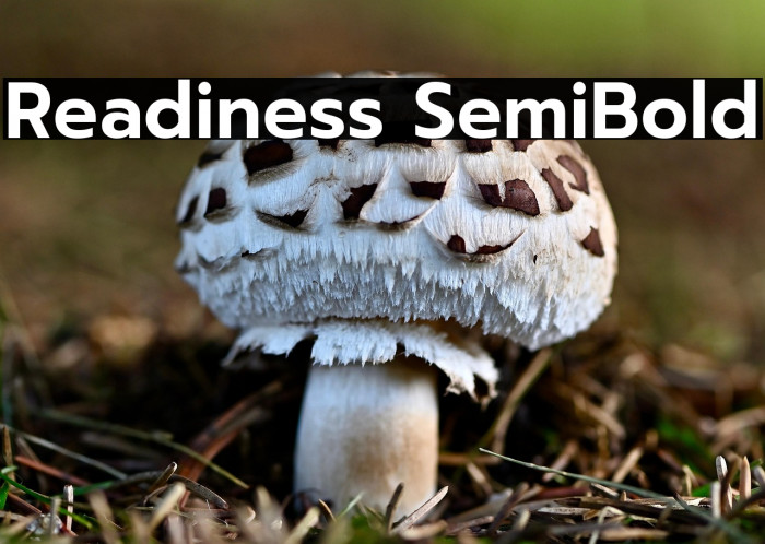 Readiness SemiBold Example 2