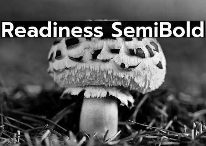 Readiness SemiBold Font examples