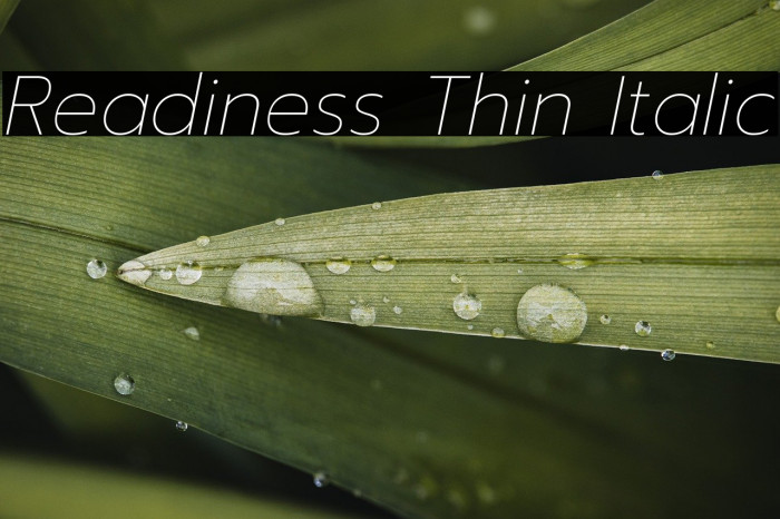 Readiness Thin Italic Example 3