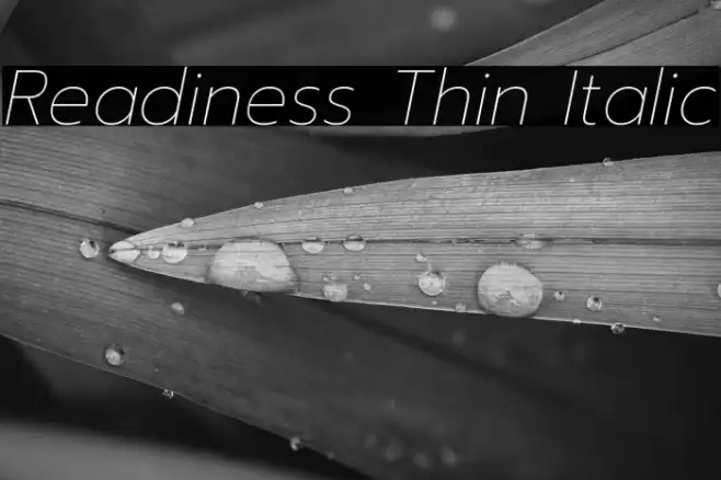 Readiness Thin Italic Font examples