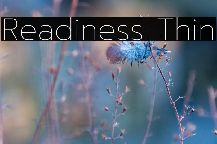 Readiness Thin Example 1