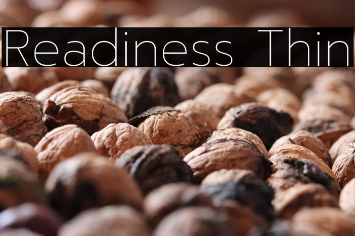 Readiness Thin Example 3