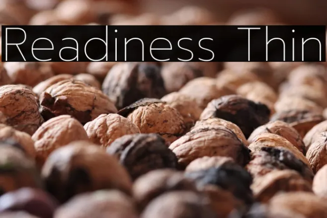 Readiness Thin Example 3