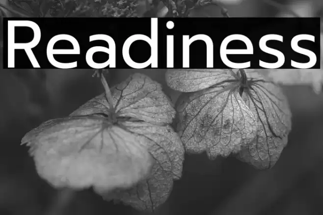 Readiness Font examples