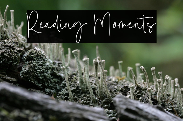 Reading Moments Example 2