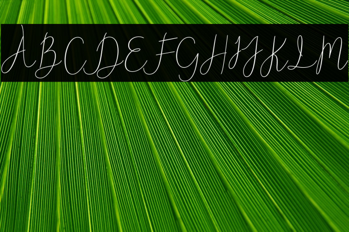 Reading-Regular Example 2