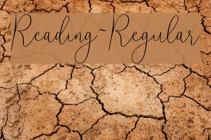 Reading-Regular Font examples
