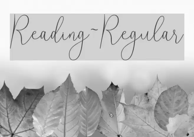 Reading-Regular Font examples