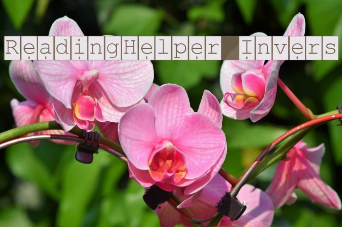 ReadingHelper Invers Font examples