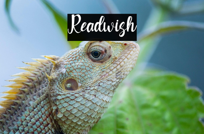 Readwish Example 1
