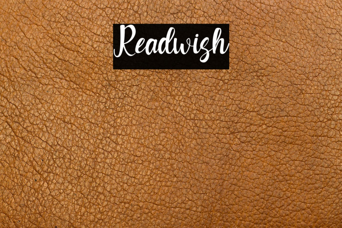 Readwish Example 2