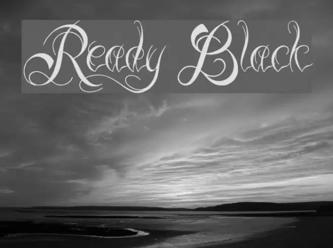 Ready Black Font examples