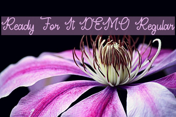 Ready For It DEMO Regular Font examples