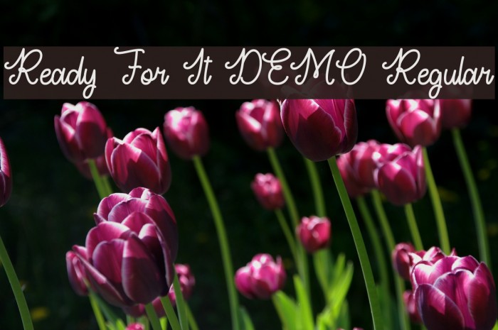 Ready For It DEMO Regular Font examples