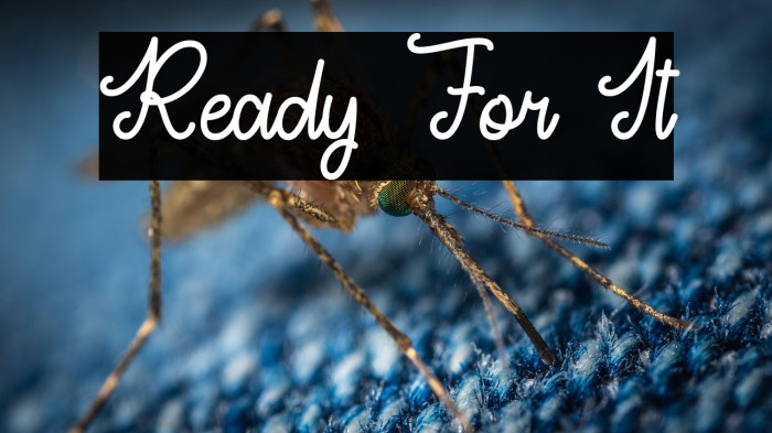 Ready For It Example 2