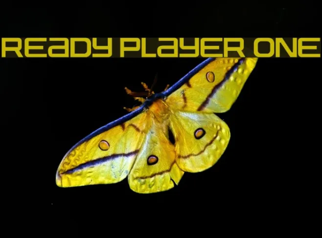 Ready Player One Example 1