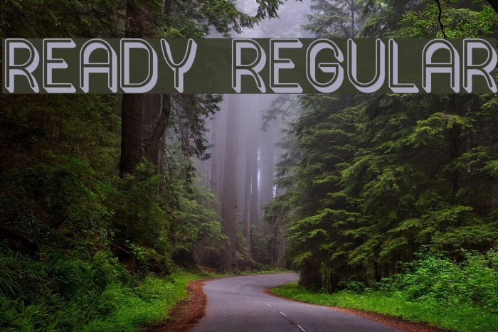 Ready Regular Font examples