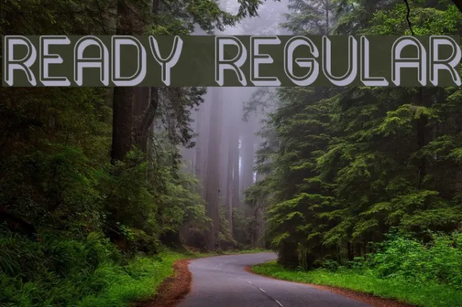 Ready Regular Example 3