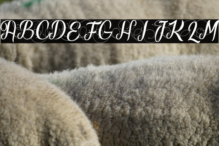 Ready to Ride_PersonalUseOnly Example 2