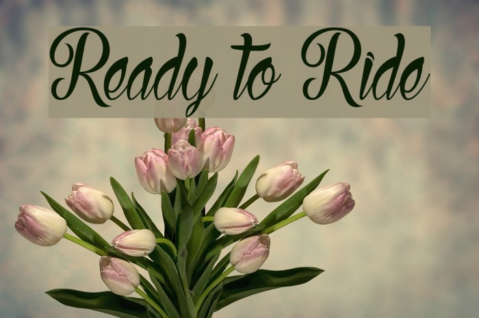 Ready to Ride Font examples
