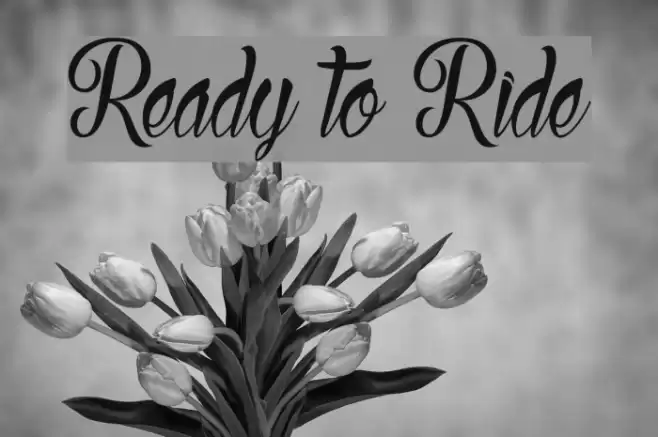 Ready to Ride خط examples