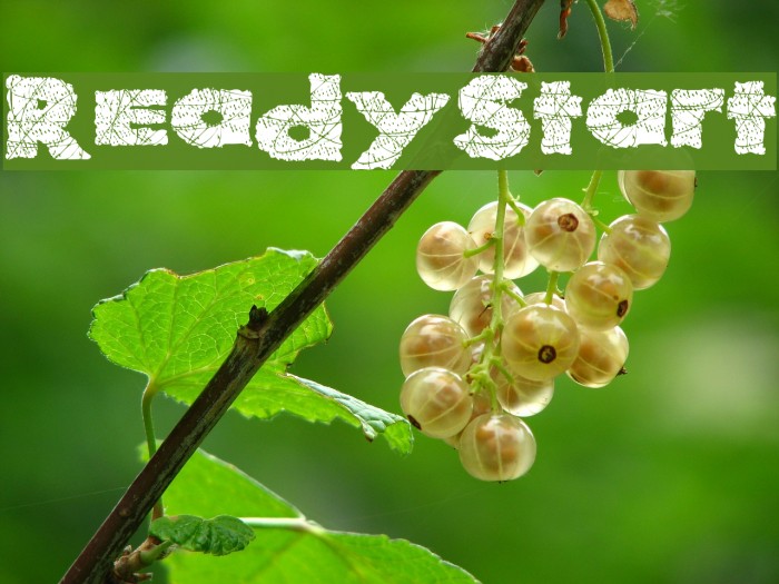 ReadyStart Font examples
