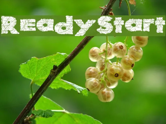ReadyStart Example 2