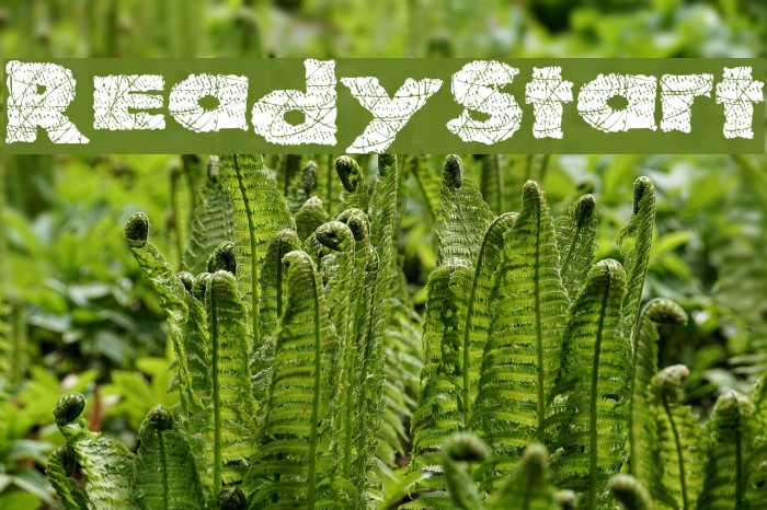 ReadyStart Font examples