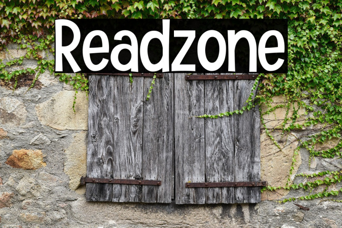 Readzone Example 2