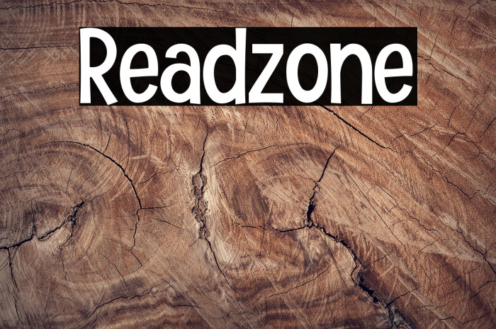 Readzone Example 3
