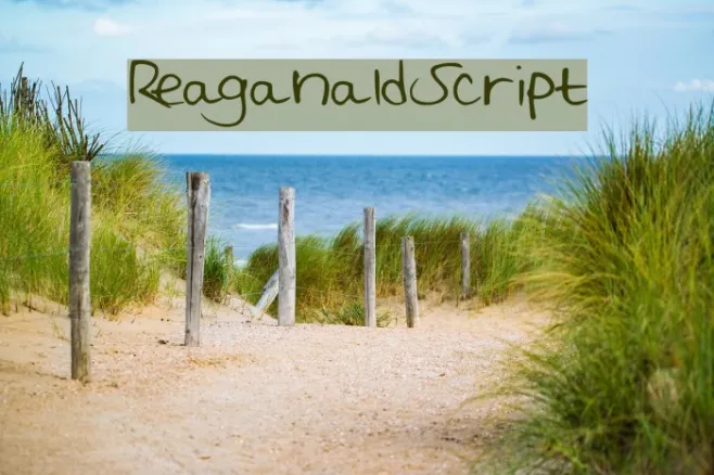 ReaganaldScript Example 2
